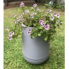 Géranium anti moustiques adulte dans bac Riviera 10,5l